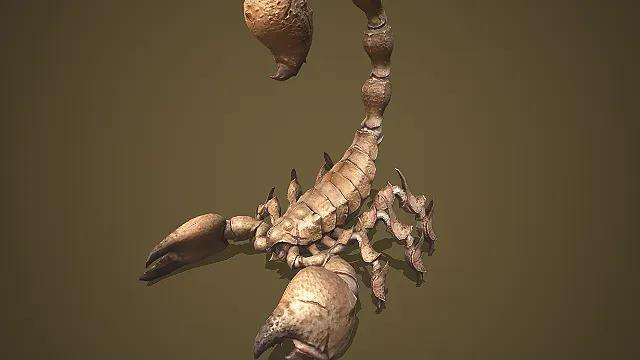 枯骨巨钳毒蝎  枯骨巨钳毒蝎模型  蝎形魔物  巨钳蝎怪  怪物模型