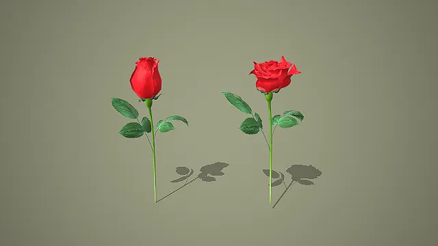两株不同花型的红色玫瑰花组合 3D 植物模型