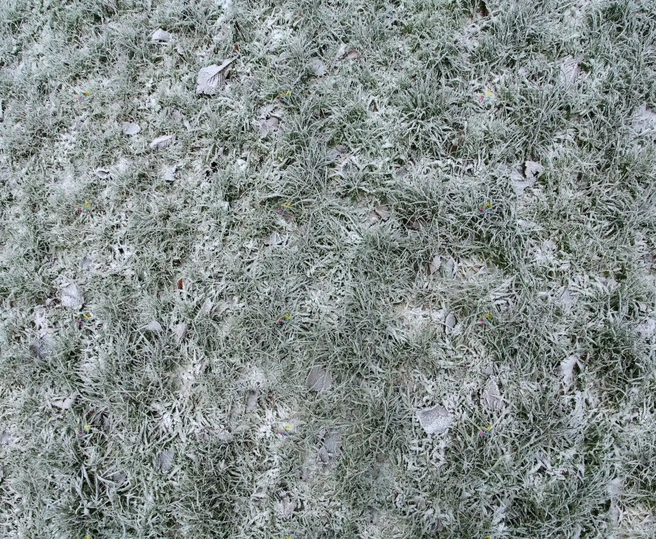 被雪覆盖的草地贴图