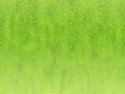 苹果果实贴图
