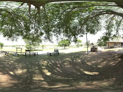 滨水公园树林林荫下HDR