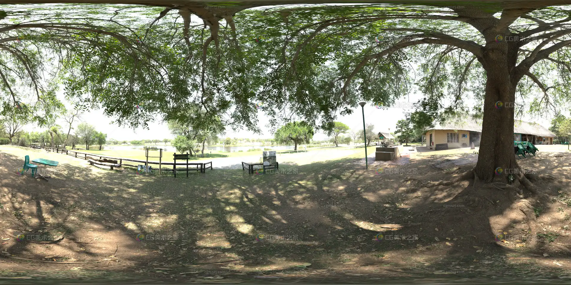 滨水公园树林林荫下HDR