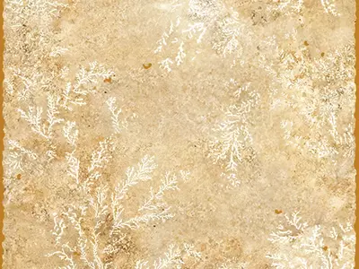 米黄底白纹装饰石材