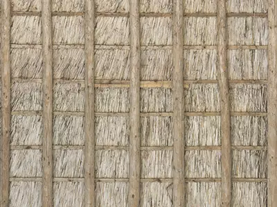 茅草屋顶内部贴图