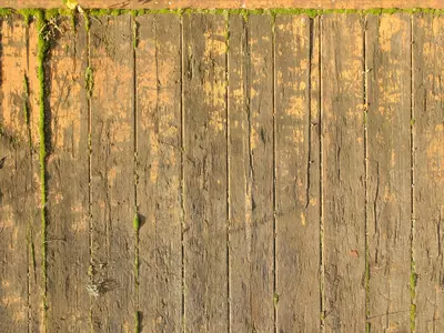 棕底带绿霉木纹贴图