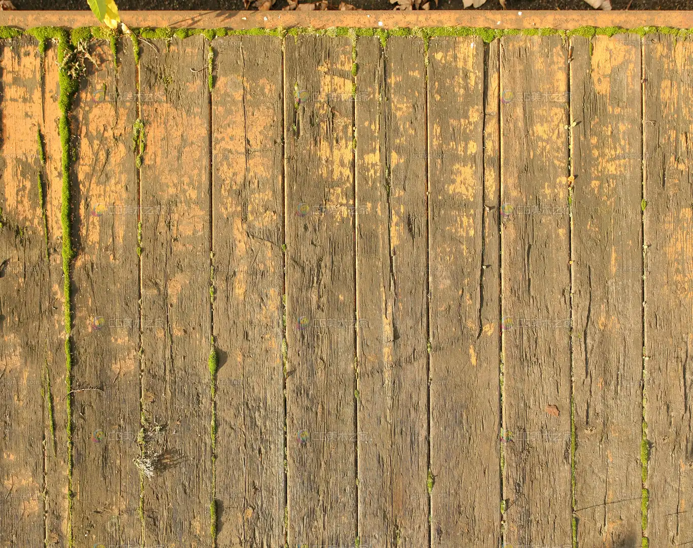 棕底带绿霉木纹贴图