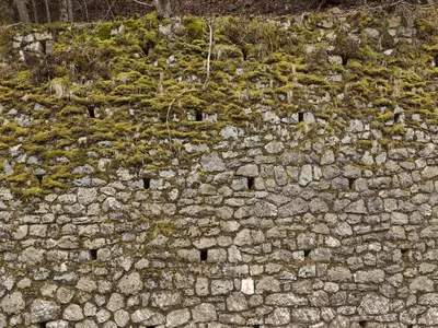 石墙带黄绿苔藓贴图