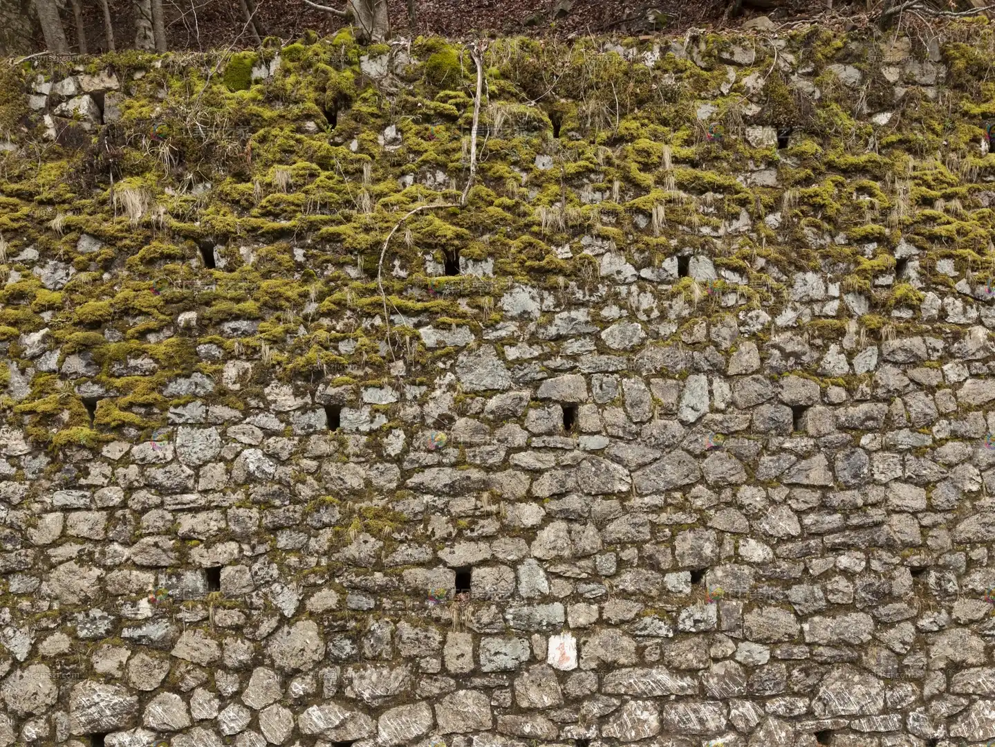 石墙带黄绿苔藓贴图