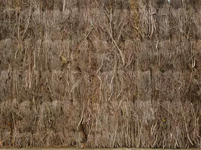棕褐色草茅草屋顶贴图
