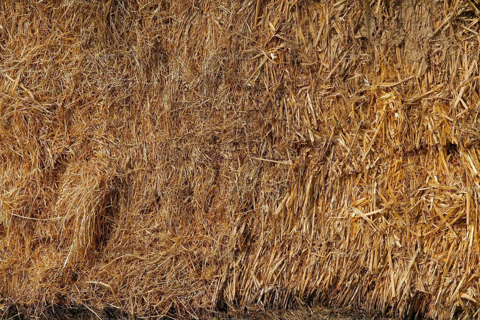 金黄色茅草堆贴图