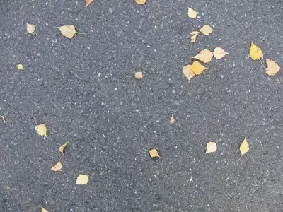 秋落叶地面贴图