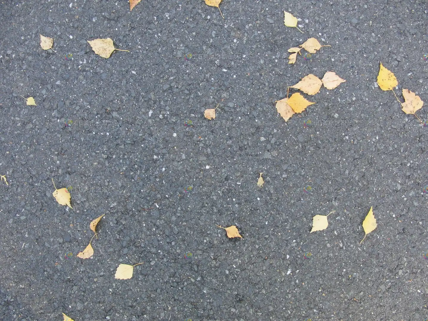 秋落叶地面贴图