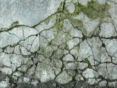 裂纹苔藓地面贴图