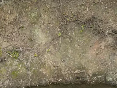 带苔泥土地面贴图