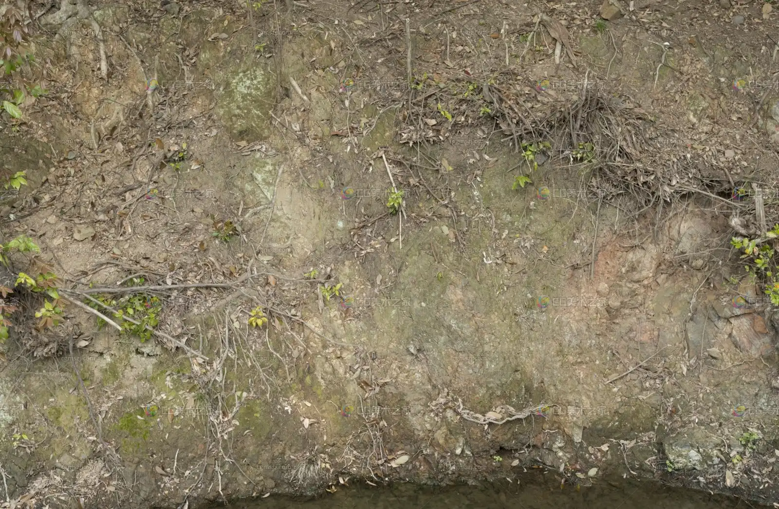 带苔泥土地面贴图