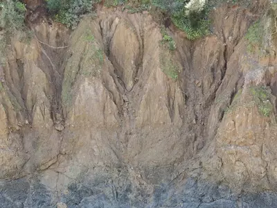 土坡植被纹理贴图