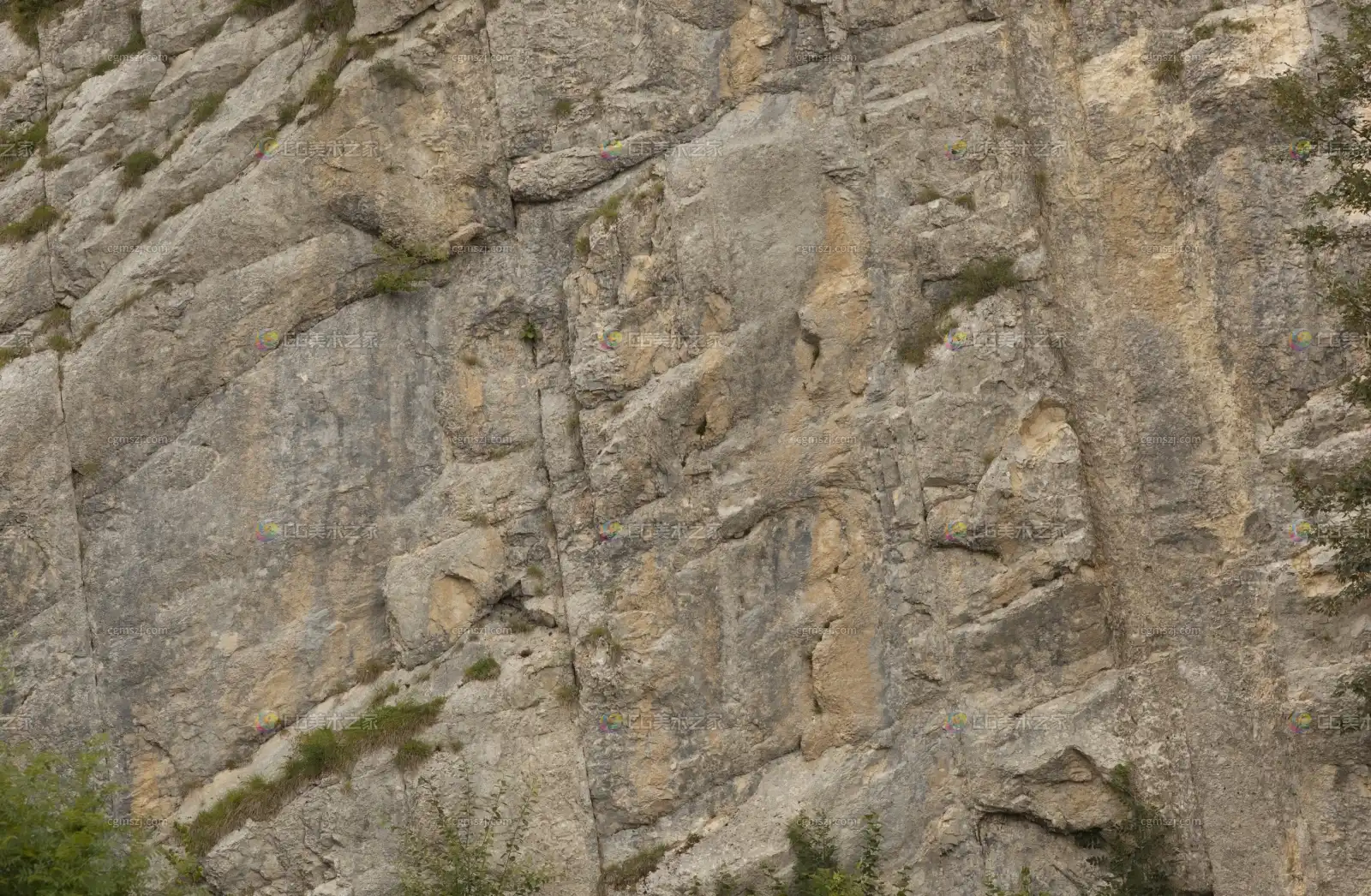 岩石贴图