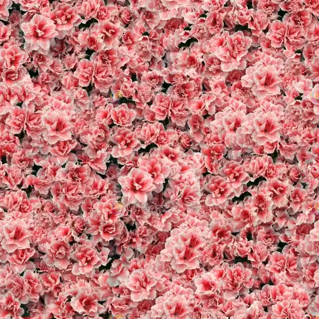 粉花簇纹理贴图