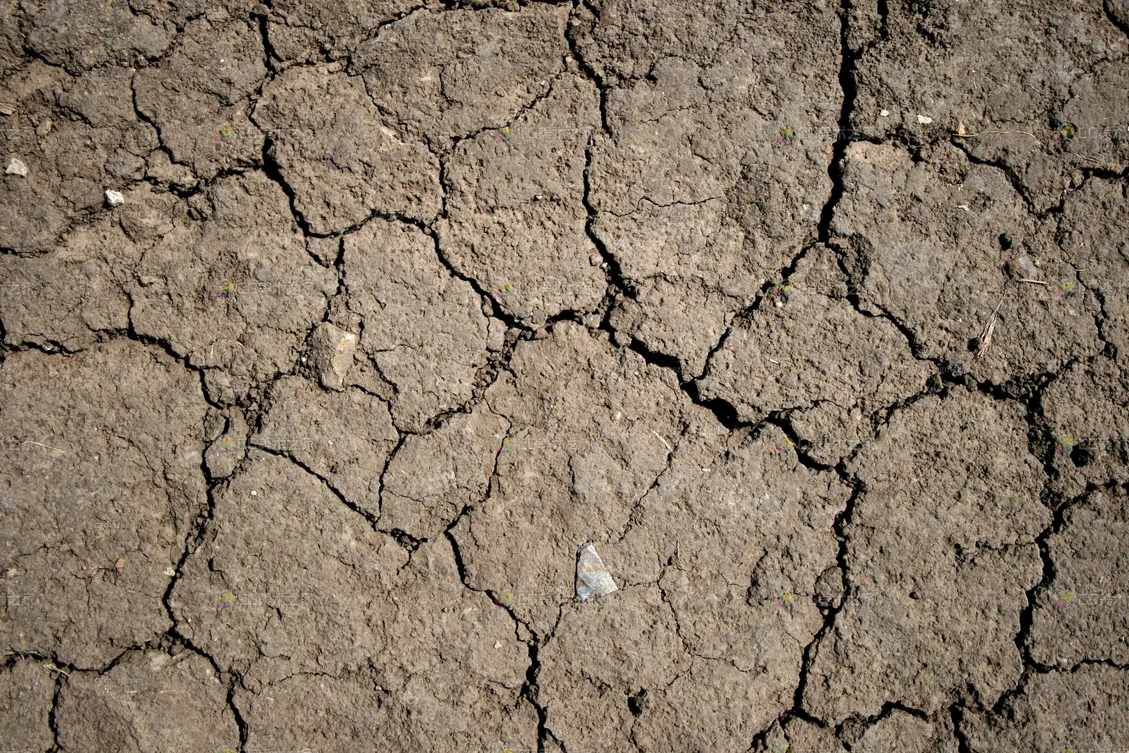 干裂的土地贴图