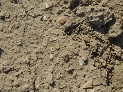 灰褐泥土地纹理贴图