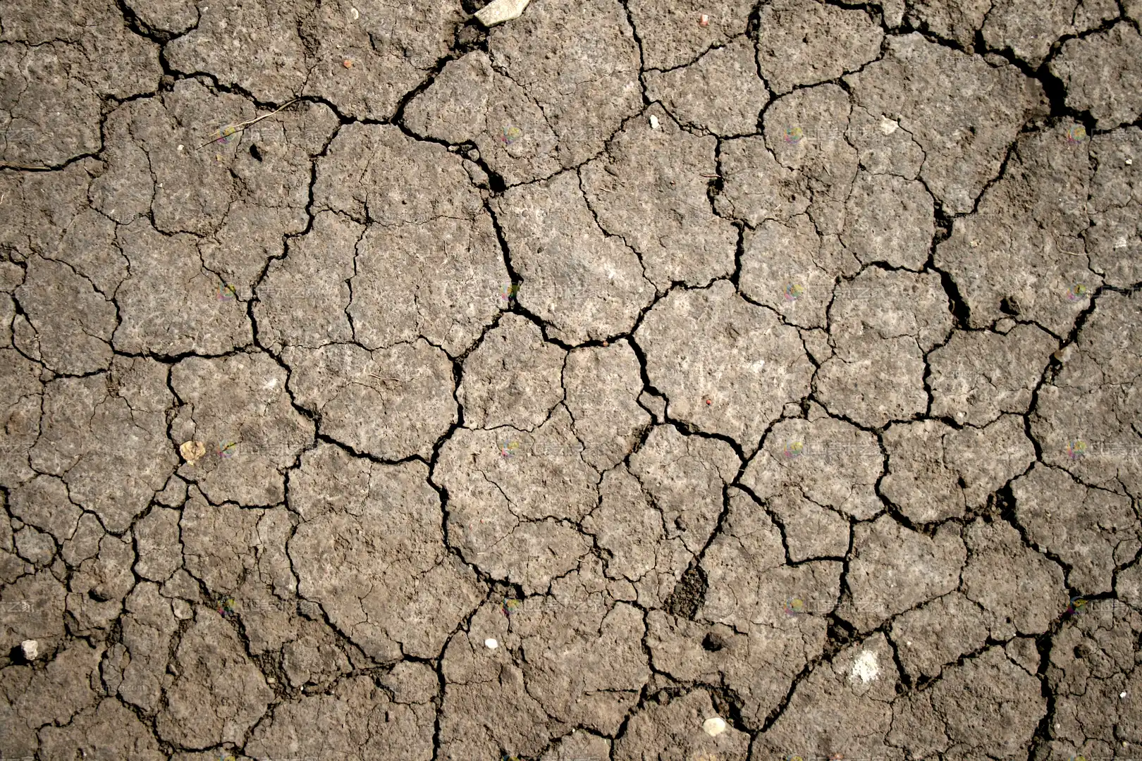干裂土地纹理贴图