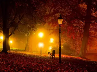 暖黄雾夜公园长椅贴图