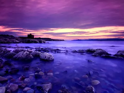 紫粉晚霞礁石海岸贴图