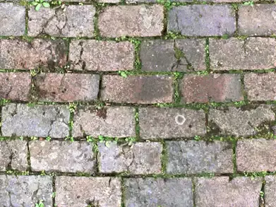 砖墙绿缝苔藓贴图