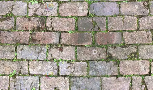 砖墙绿缝苔藓贴图