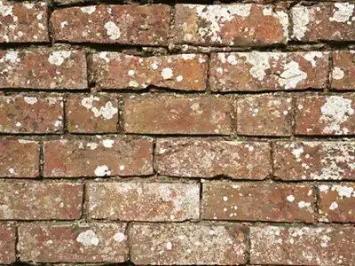 红砖墙白斑旧迹贴图