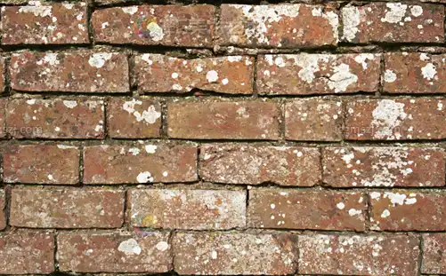 红砖墙白斑旧迹贴图