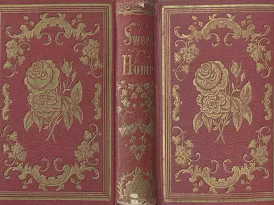 玫红色书籍封面贴图