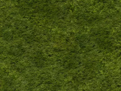 绿色苔藓地贴图