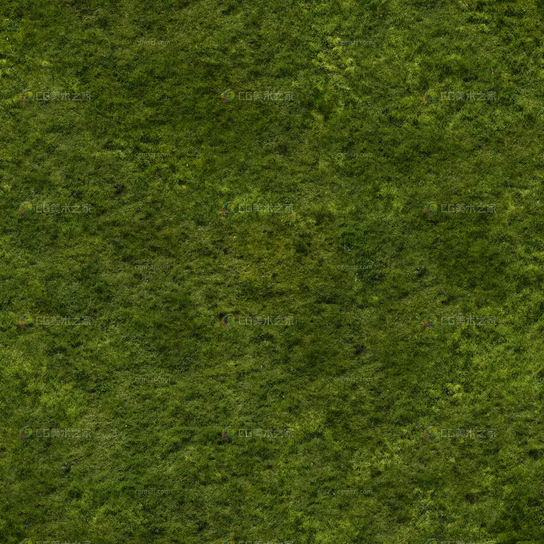 绿色苔藓地贴图