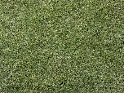 绿色草地纹理贴图