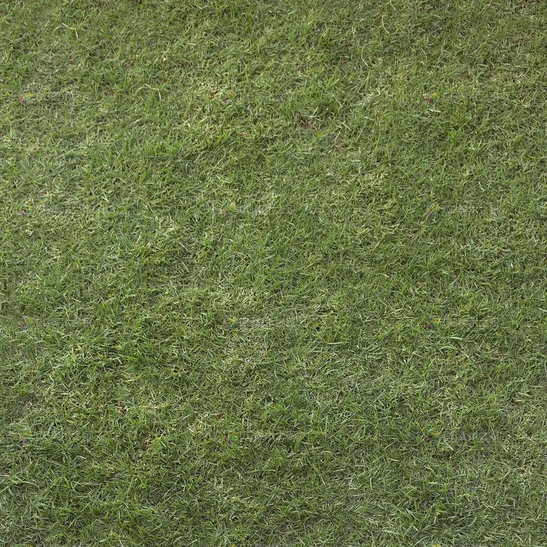 绿色草地纹理贴图