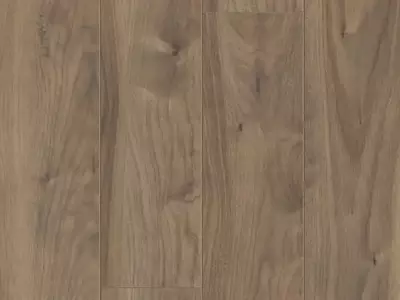 浅木色木纹贴图