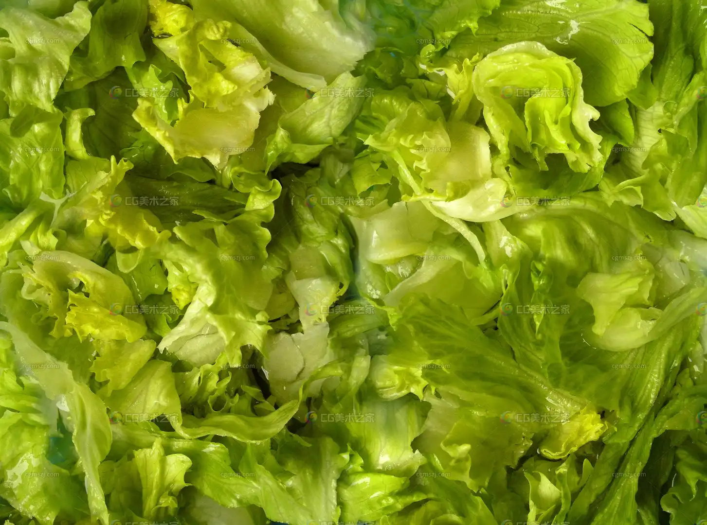 嫩绿菜叶纹理贴图