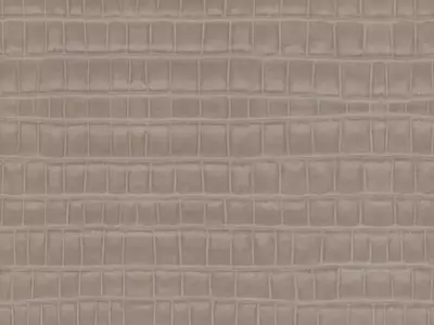 浅灰色鳄鱼纹皮革贴图