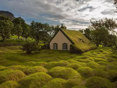 苔藓小屋景观贴图