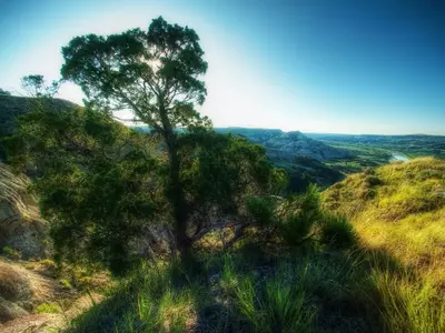 山林峡谷风景贴图