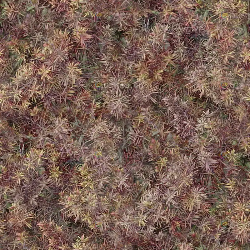 彩色植物纹理贴图