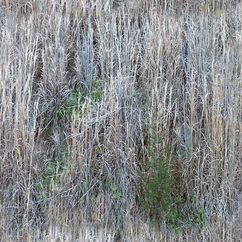 枯草绿植混合贴图