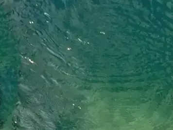 绿色水面波纹贴图