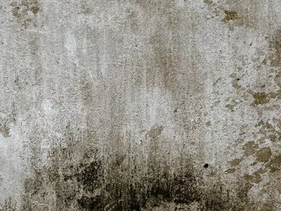 老旧带霉斑墙体贴图