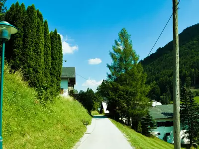 乡间田园小路贴图