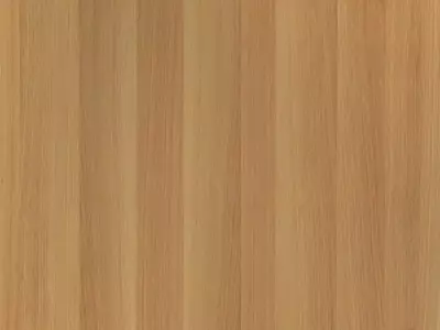 安丽格钢刷自然拼贴图