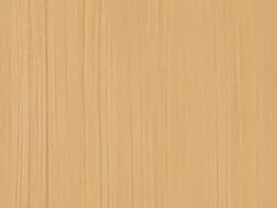 桧木自然拼贴图