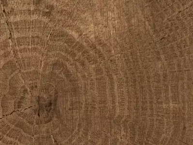 棕褐木纹年轮纹理贴图 