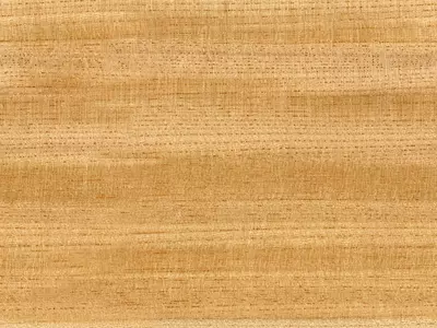 浅棕细密木纹贴图 